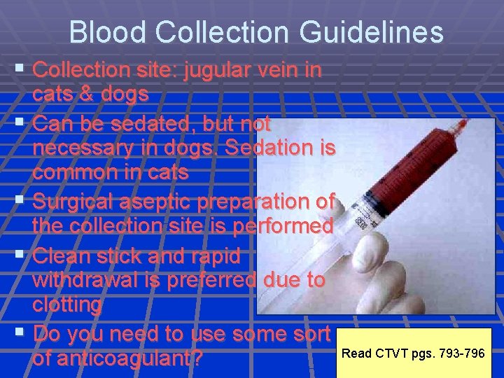 Blood Collection Guidelines Collection site: jugular vein in cats & dogs Can be sedated,