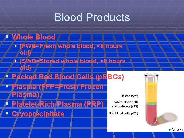 Blood Products Whole Blood (FWB=Fresh whole blood, <8 hours old) (SWB=Stored whole blood, >8