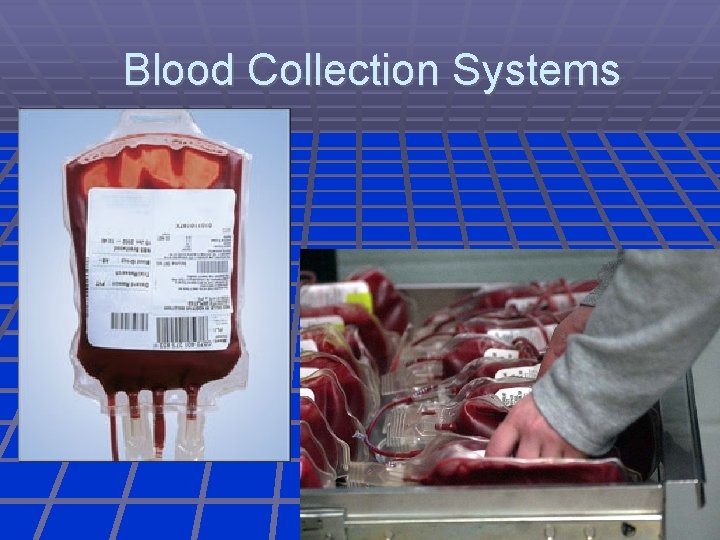 Blood Collection Systems 