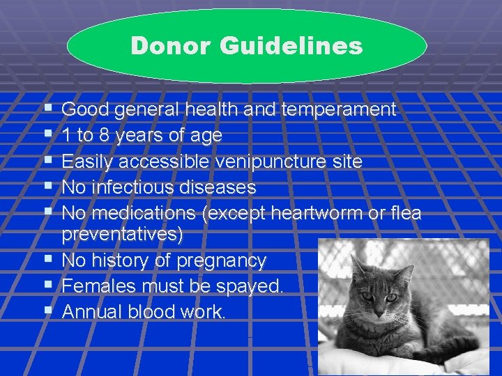 Donor Guidelines Good general health and temperament 1 to 8 years of age Easily