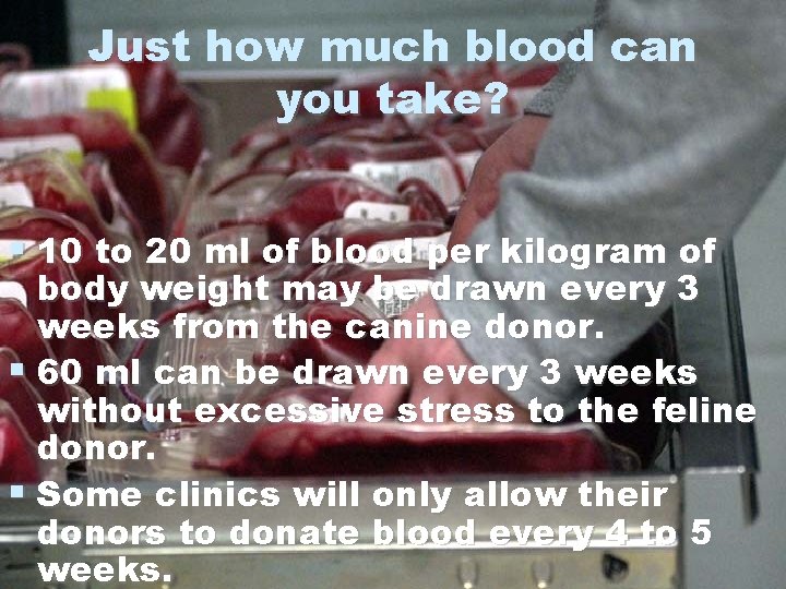 Just how much blood can you take? 10 to 20 ml of blood per