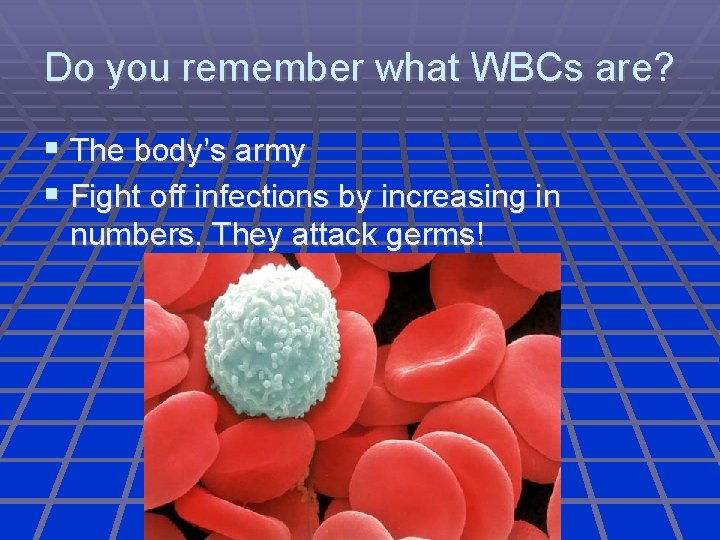 Do you remember what WBCs are? The body’s army Fight off infections by increasing