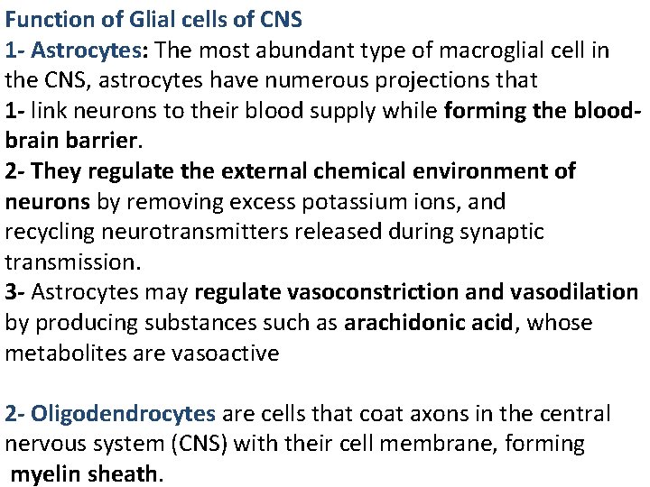 Function of Glial cells of CNS 1 - Astrocytes: The most abundant type of