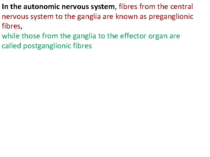 In the autonomic nervous system, fibres from the central nervous system to the ganglia