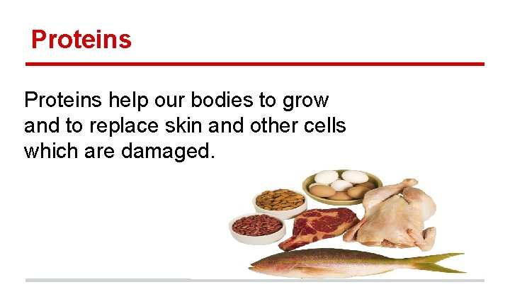 Proteins help our bodies to grow and to replace skin and other cells which