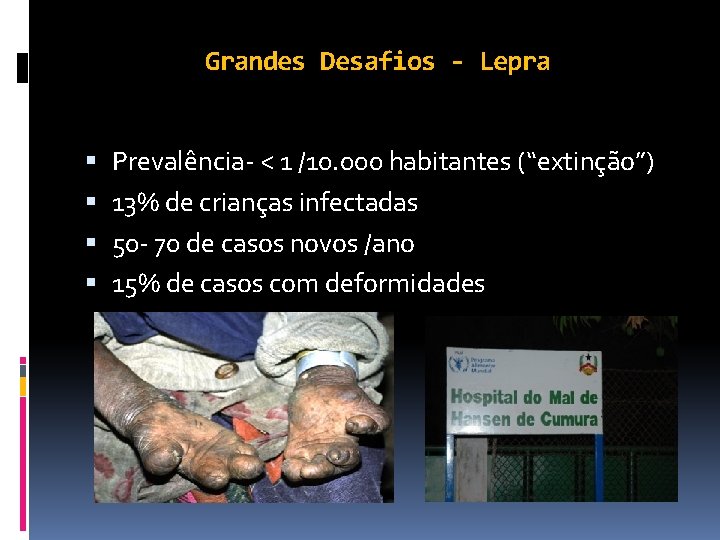 Grandes Desafios - Lepra Prevalência- < 1 /10. 000 habitantes (“extinção”) 13% de crianças