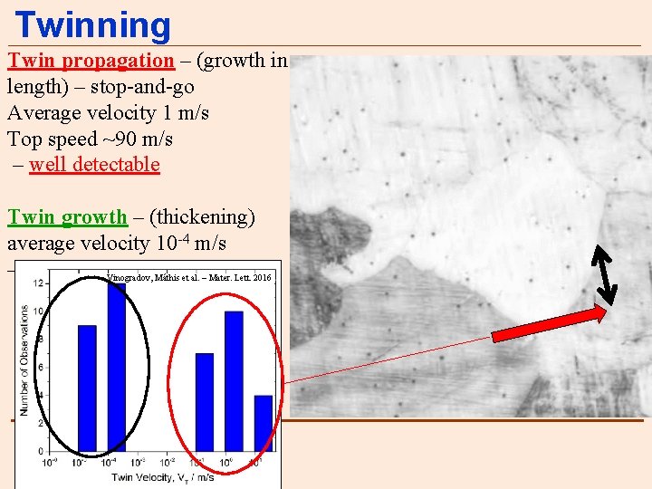 Twinning Twin propagation – (growth in length) – stop-and-go Average velocity 1 m/s Top