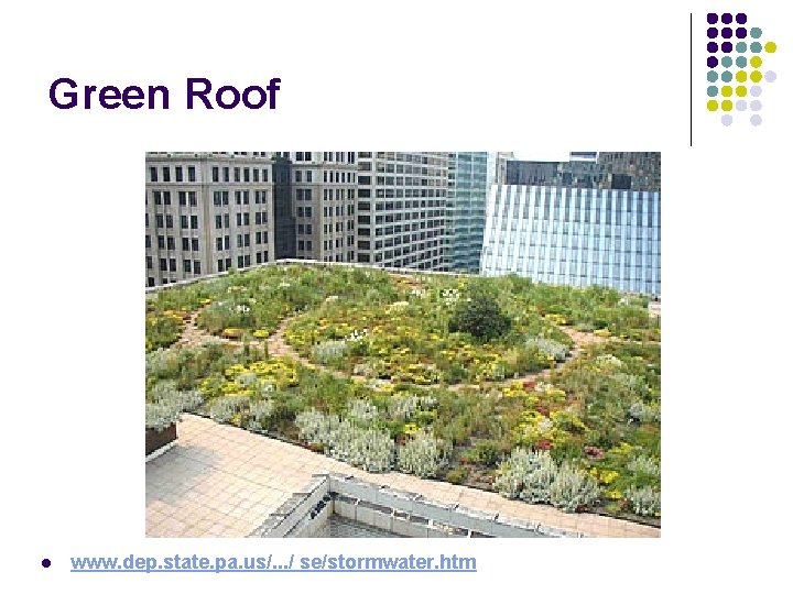 Green Roof l www. dep. state. pa. us/. . . / se/stormwater. htm 