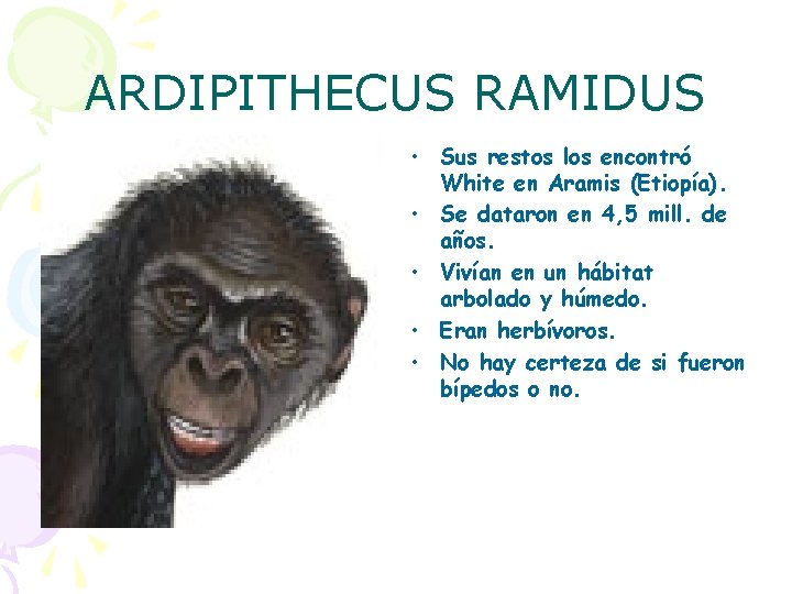 ARDIPITHECUS RAMIDUS • Sus restos los encontró White en Aramis (Etiopía). • Se dataron