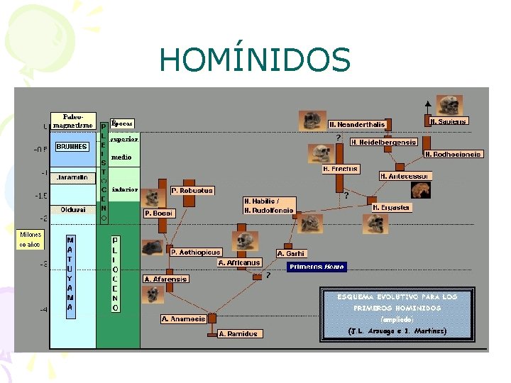 HOMÍNIDOS 