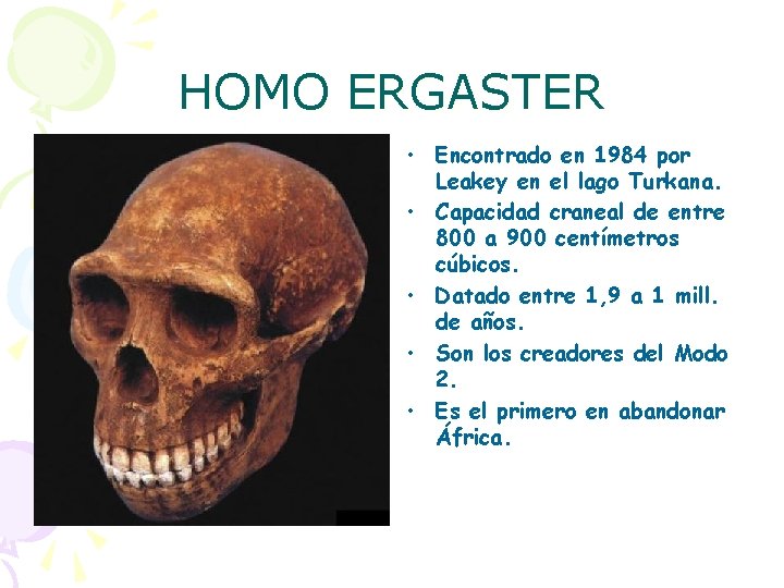 HOMO ERGASTER • Encontrado en 1984 por Leakey en el lago Turkana. • Capacidad