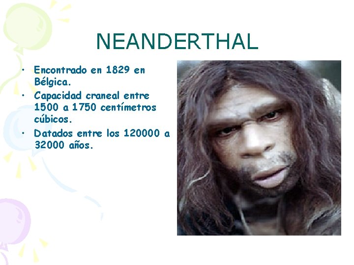 NEANDERTHAL • Encontrado en 1829 en Bélgica. • Capacidad craneal entre 1500 a 1750