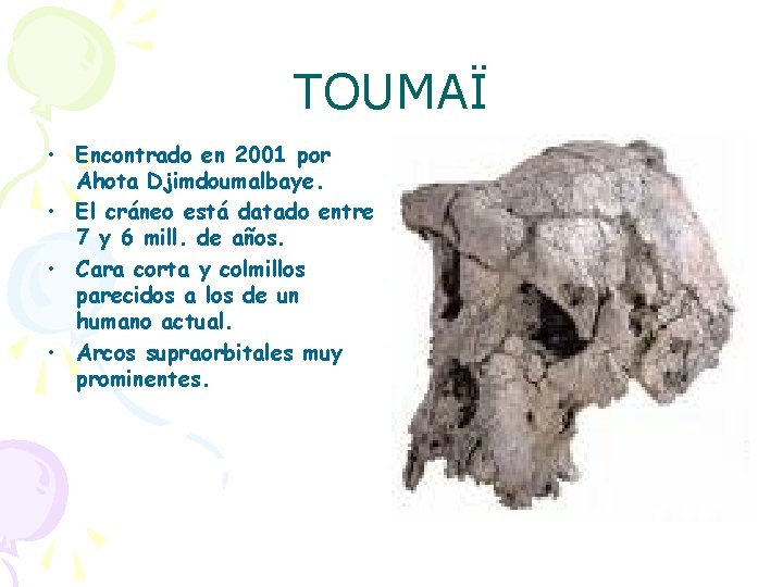 TOUMAÏ • Encontrado en 2001 por Ahota Djimdoumalbaye. • El cráneo está datado entre