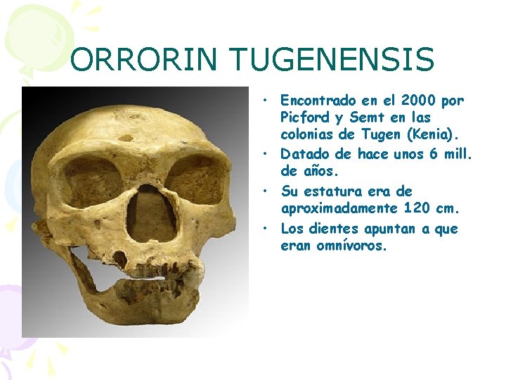 ORRORIN TUGENENSIS • Encontrado en el 2000 por Picford y Semt en las colonias