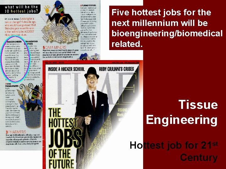 Five hottest jobs for the next millennium will be bioengineering/biomedical related. Tissue Engineering Hottest