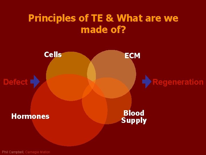 Principles of TE & What are we made of? Cells ECM Defect Hormones Phil