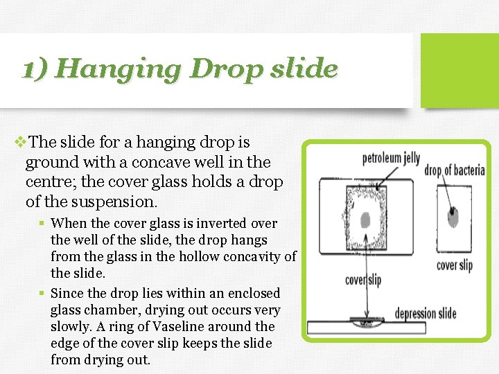 1) Hanging Drop slide v. The slide for a hanging drop is ground with