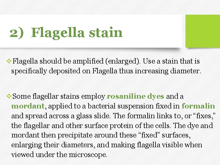 2) Flagella stain v. Flagella should be amplified (enlarged). Use a stain that is