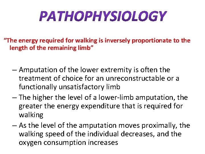  “The energy required for walking is inversely proportionate to the length of the