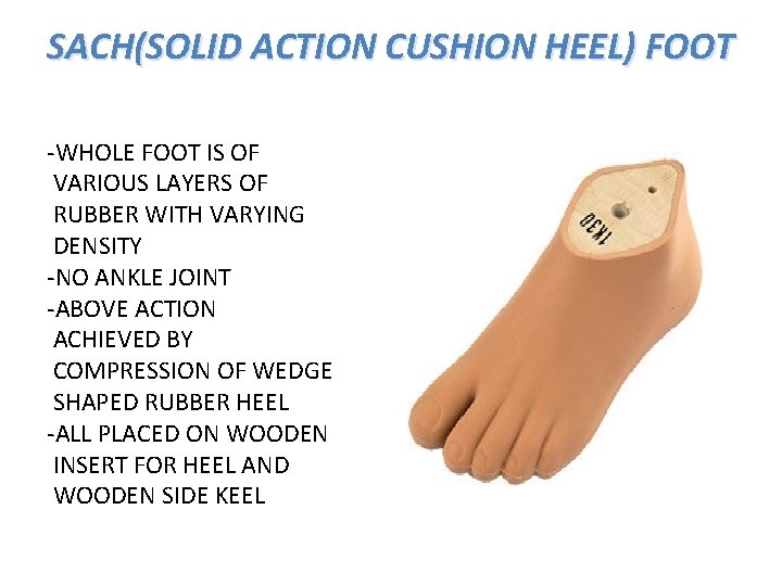 SACH(SOLID ACTION CUSHION HEEL) FOOT -WHOLE FOOT IS OF VARIOUS LAYERS OF RUBBER WITH
