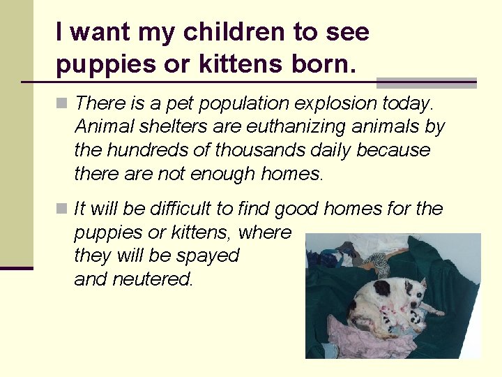 I want my children to see puppies or kittens born. n There is a