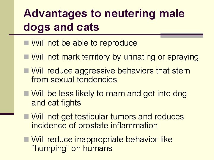 Advantages to neutering male dogs and cats n Will not be able to reproduce