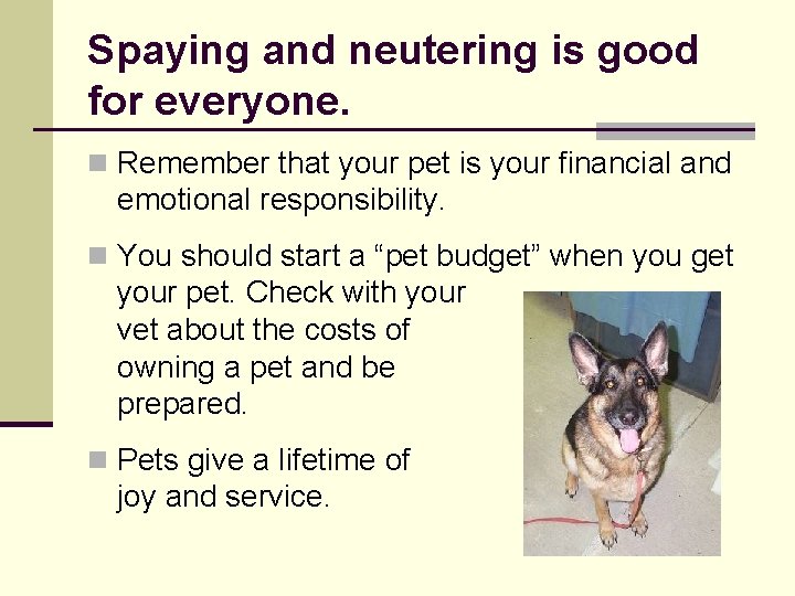 Spaying and neutering is good for everyone. n Remember that your pet is your