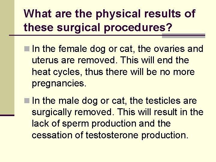 What are the physical results of these surgical procedures? n In the female dog