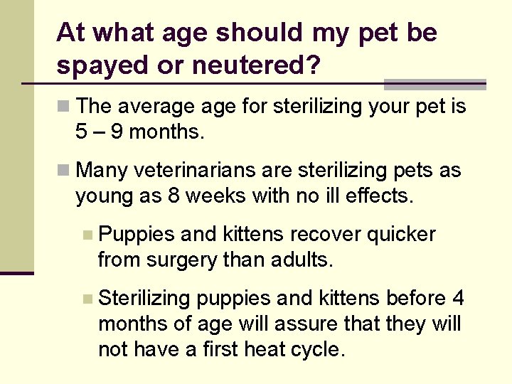 At what age should my pet be spayed or neutered? n The average for