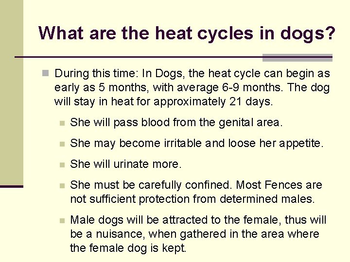 What are the heat cycles in dogs? n During this time: In Dogs, the