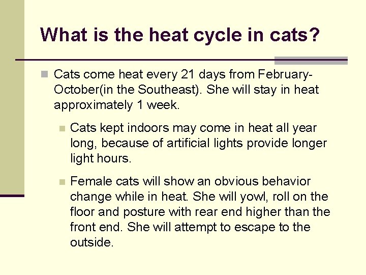 What is the heat cycle in cats? n Cats come heat every 21 days