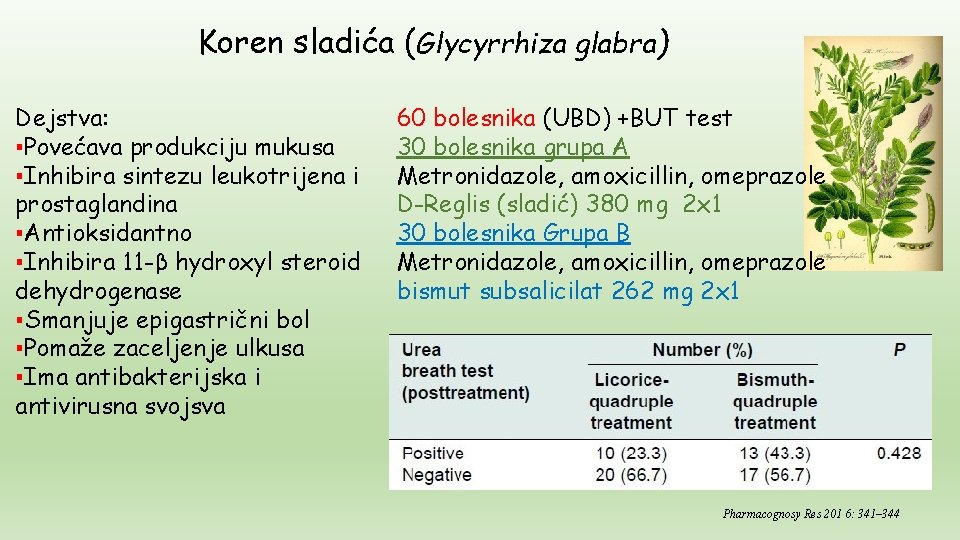 Koren sladića (Glycyrrhiza glabra) Dejstva: ▪Povećava produkciju mukusa ▪Inhibira sintezu leukotrijena i prostaglandina ▪Antioksidantno