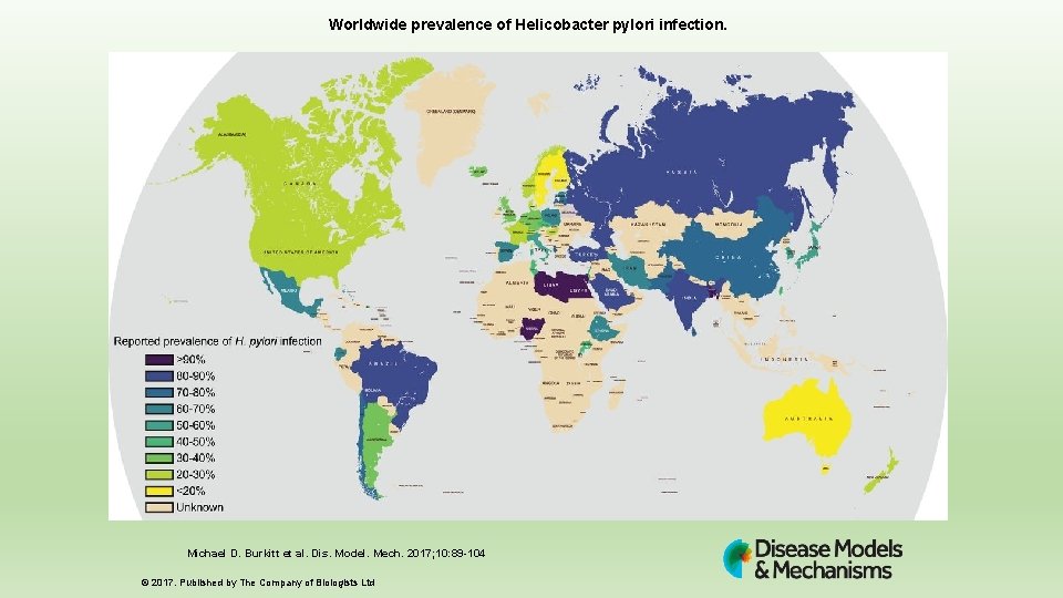 Worldwide prevalence of Helicobacter pylori infection. Michael D. Burkitt et al. Dis. Model. Mech.