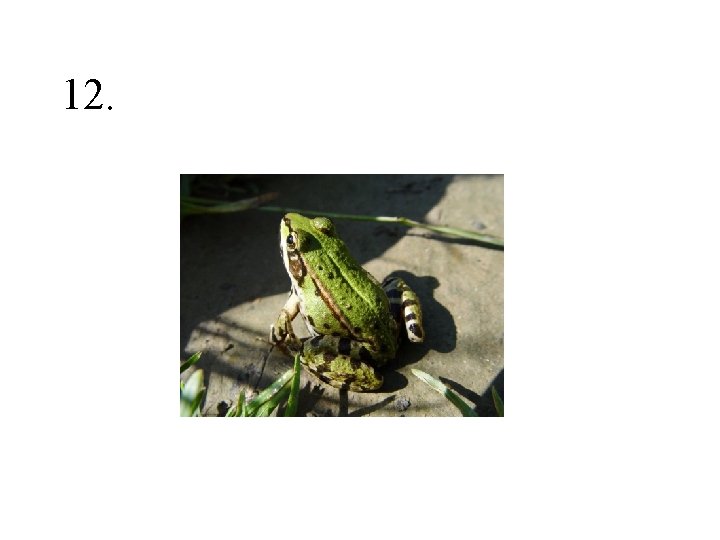 12. 