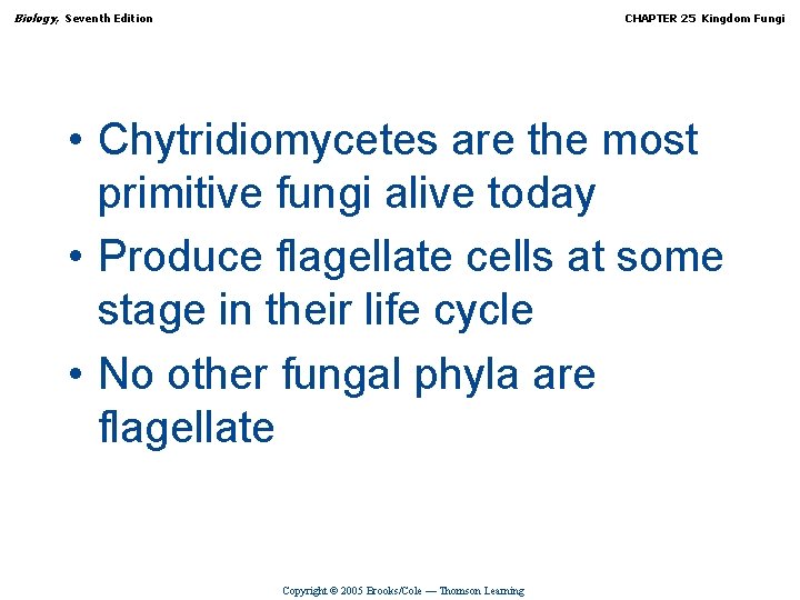 Biology, Seventh Edition CHAPTER 25 Kingdom Fungi • Chytridiomycetes are the most primitive fungi