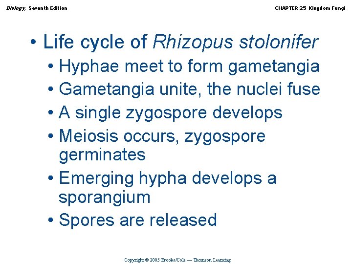 Biology, Seventh Edition CHAPTER 25 Kingdom Fungi • Life cycle of Rhizopus stolonifer •