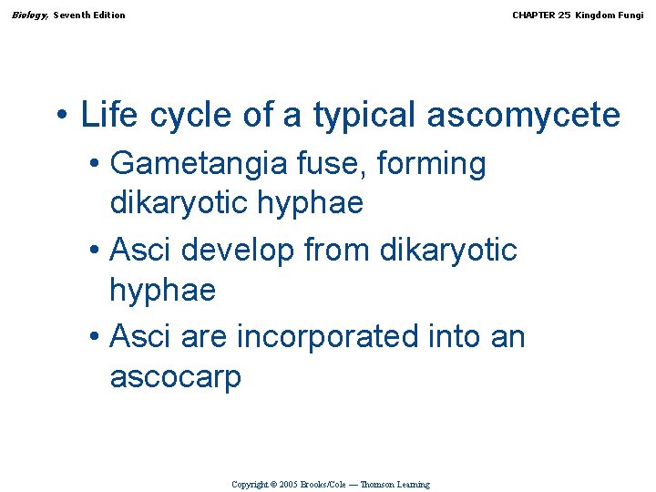 Biology, Seventh Edition CHAPTER 25 Kingdom Fungi • Life cycle of a typical ascomycete