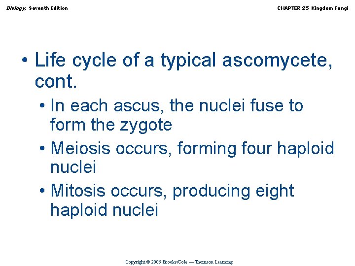 Biology, Seventh Edition CHAPTER 25 Kingdom Fungi • Life cycle of a typical ascomycete,