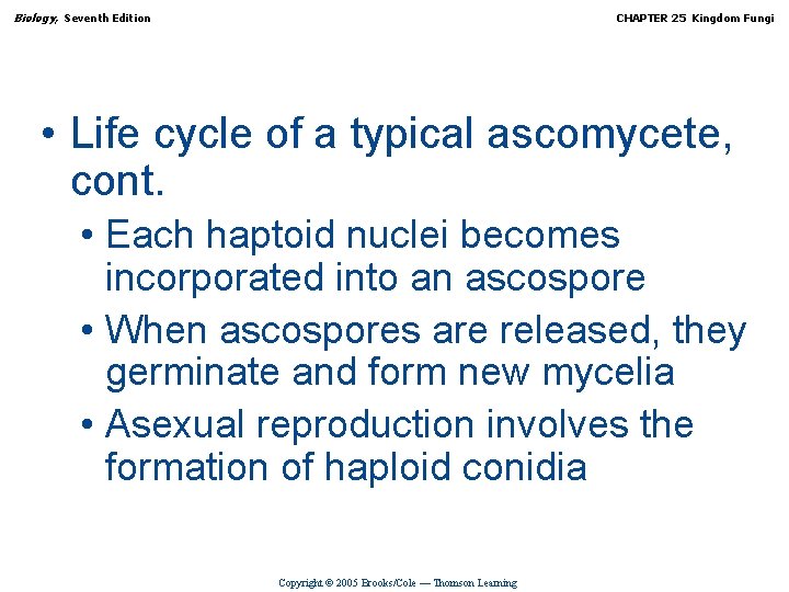 Biology, Seventh Edition CHAPTER 25 Kingdom Fungi • Life cycle of a typical ascomycete,