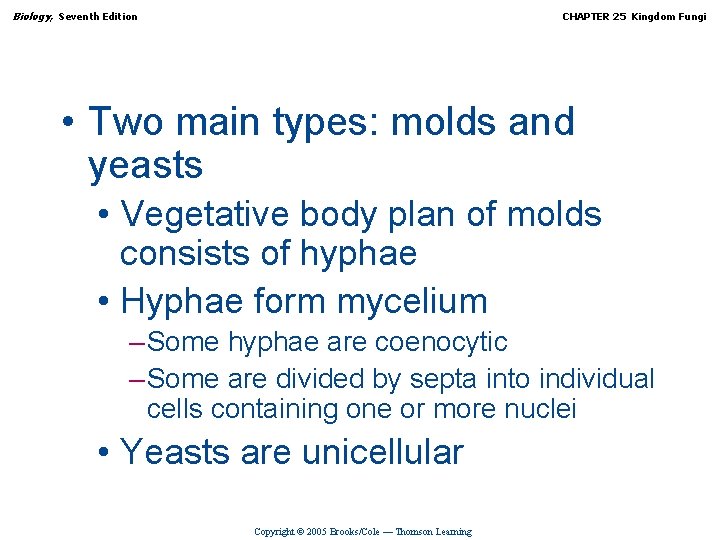 Biology, Seventh Edition CHAPTER 25 Kingdom Fungi • Two main types: molds and yeasts