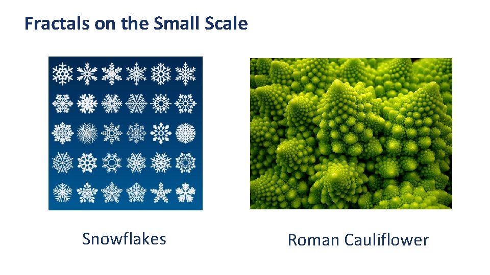 Fractals on the Small Scale Snowflakes Roman Cauliflower 