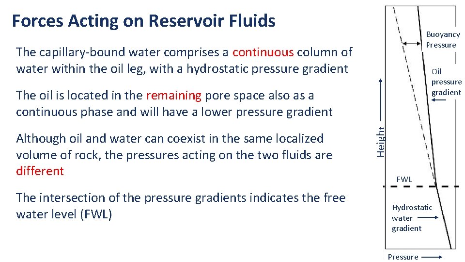 Forces Acting on Reservoir Fluids Buoyancy Pressure The capillary-bound water comprises a continuous column