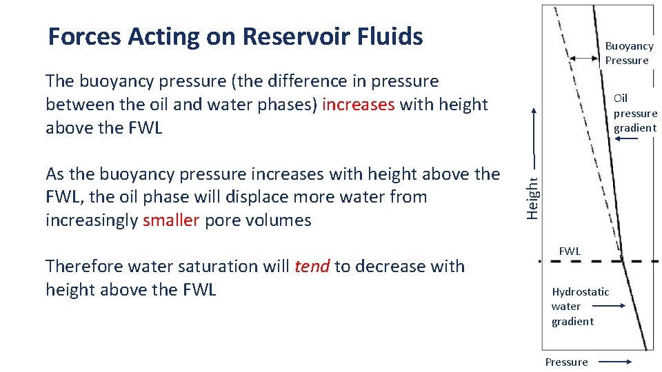  Buoyancy Pressure Forces Acting on Reservoir Fluids The buoyancy pressure (the difference in