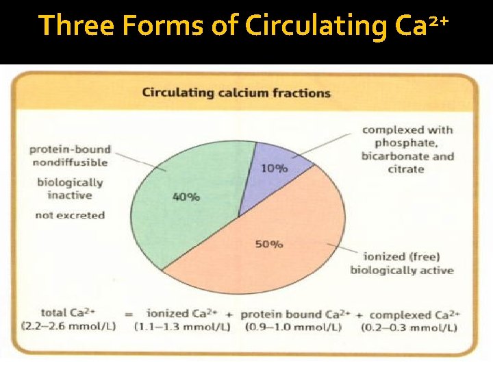 Three Forms of Circulating Ca 2+ 