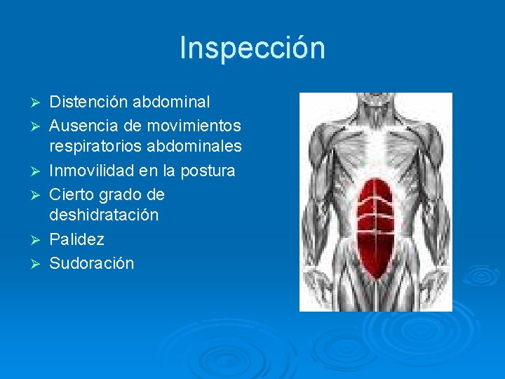 Inspección Ø Ø Ø Distención abdominal Ausencia de movimientos respiratorios abdominales Inmovilidad en la