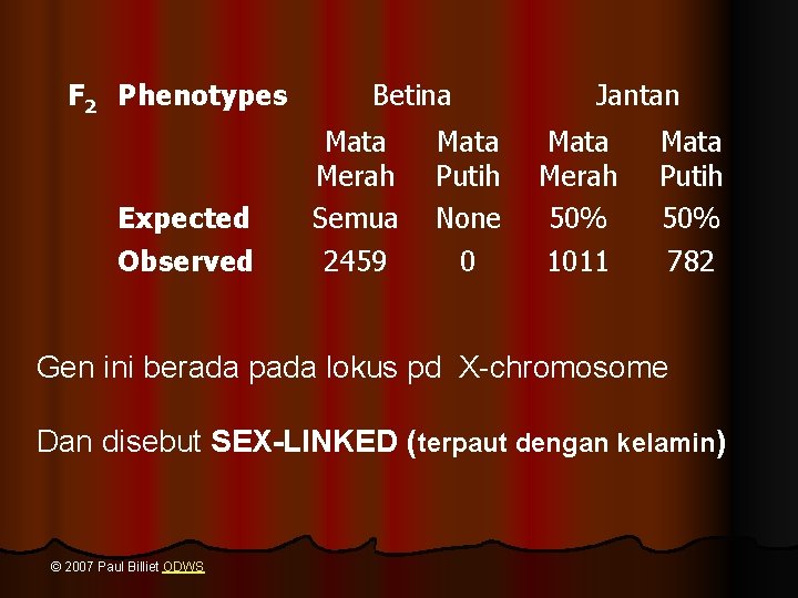F 2 Phenotypes Expected Observed Betina Mata Merah Semua 2459 Mata Putih None 0