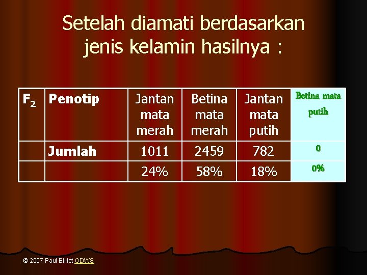 Setelah diamati berdasarkan jenis kelamin hasilnya : F 2 Penotip Jumlah © 2007 Paul