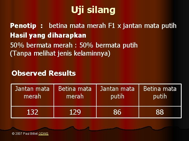 Uji silang Penotip : betina mata merah F 1 x jantan mata putih Hasil