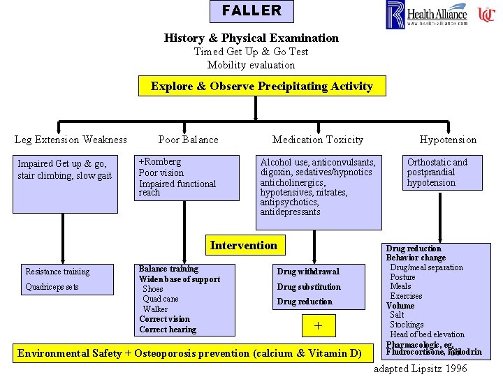 FALLER History & Physical Examination Timed Get Up & Go Test Mobility evaluation Explore