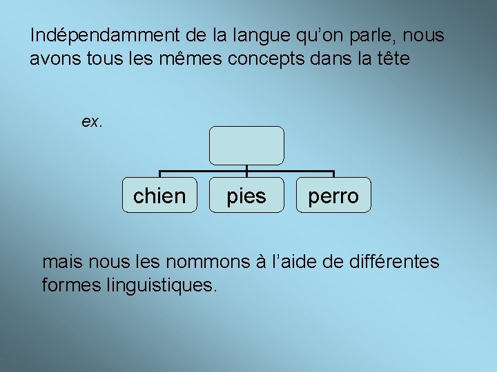 Indépendamment de la langue qu’on parle, nous avons tous les mêmes concepts dans la